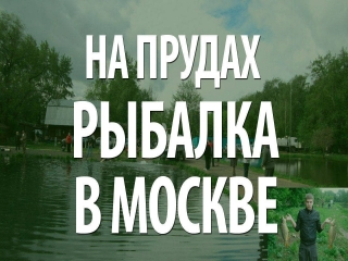 Платная рыбалка на юге москвы