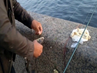 Платная рыбалка в санкт петербурге