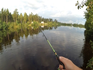 Платная рыбалка луковое озеро