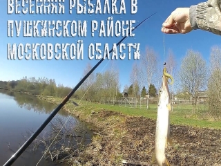 Платная рыбалка в пушкино московской области