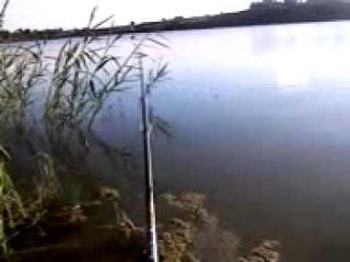 Платная рыбалка орешкино нижегородская область