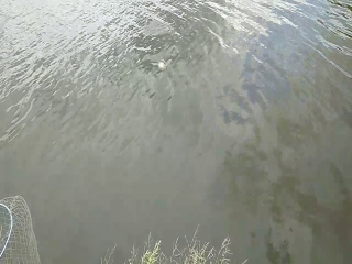 Платная рыбалка поповские пруды ставрополь