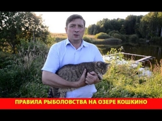 Озеро кошкино нижегородской области платная рыбалка