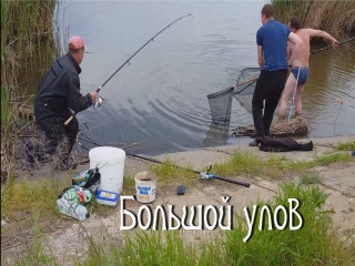 Александровские пруды платная рыбалка