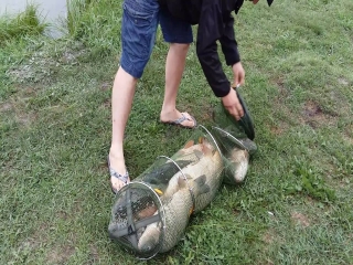 Платная рыбалка в ольгино