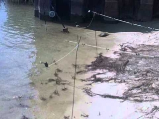 Платная рыбалка в багаевском районе