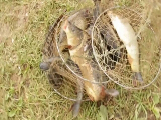 Платная рыбалка в дулово чеховский район