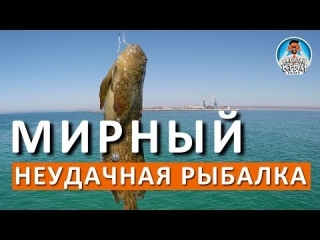 Платная рыбалка серпуховский район мирный
