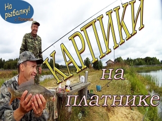Видео рыбалка на платных прудах