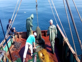 Платная рыбалка в абхазии