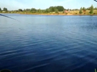 Платная рыбалка озеро синец