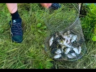 Платные озера в новосибирске для рыбалки
