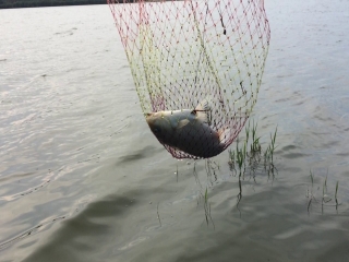 Платная рыбалка на озере донузлав