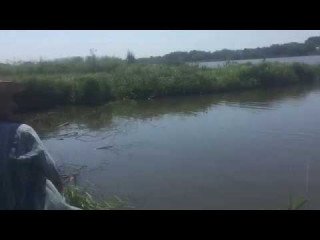 Рыбалка белгород платные пруды