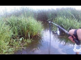 Платная рыбалка в лыково калужская область