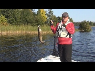 Платные озера для рыбалки в ленинградской области