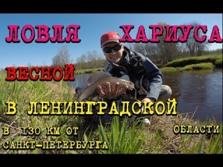 Платная рыбалка в ленинградской области цены места