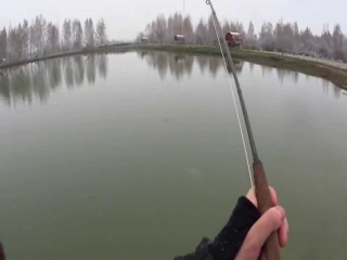 Кудринское озеро ярославль платная рыбалка контакты