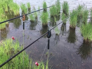 Платная рыбалка рязань отзывы 2018