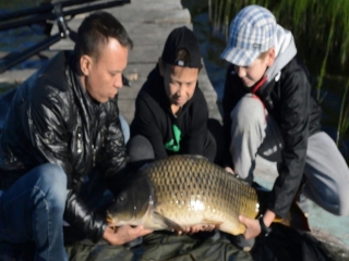 Рыбалка в воронежской области платные пруды 2018