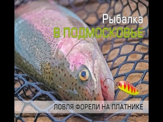 Платная рыбалка москва и московская область