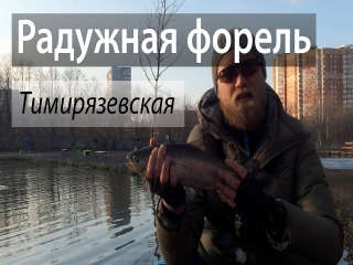 Платная рыбалка в москве тимирязевская
