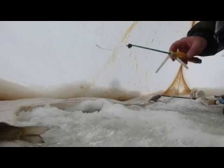 Рыбалка в белгородской области платные пруды