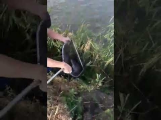 Рыбалка в ростовской области платные пруды