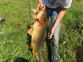Платная рыбалка в татарстане