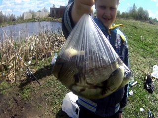 Платная рыбалка в киржачском районе