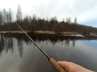 Платная рыбалка в спб и ленинградской области