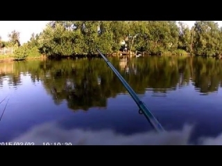 Платная рыбалка ольгино
