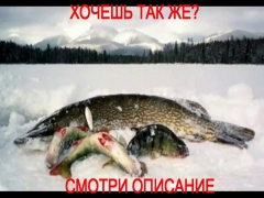 Михайловская слобода платная рыбалка официальный сайт