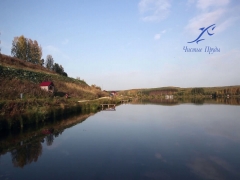 Платная рыбалка чистые пруды нижегородская область