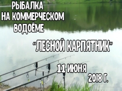 Платная рыбалка кореновского района